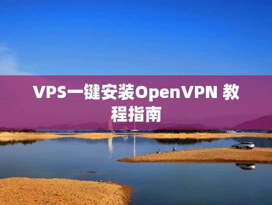 VPS一键安装OpenVPN 教程指南