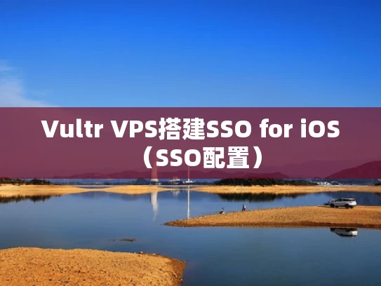 Vultr VPS搭建SSO for iOS（SSO配置）
