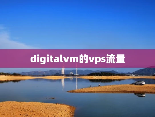 digitalvm的vps流量