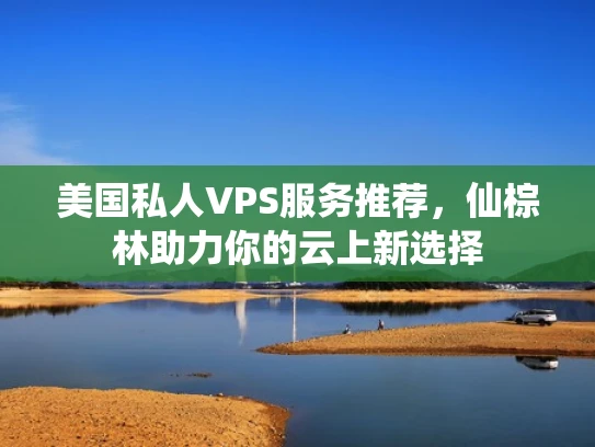 美国私人VPS服务推荐，仙棕林助力你的云上新选择