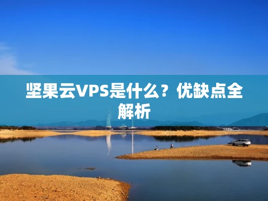 坚果云VPS是什么？优缺点全解析