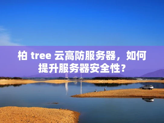 柏 tree 云高防服务器，如何提升服务器安全性？