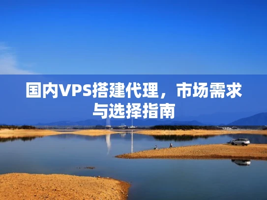 国内VPS搭建代理，市场需求与选择指南