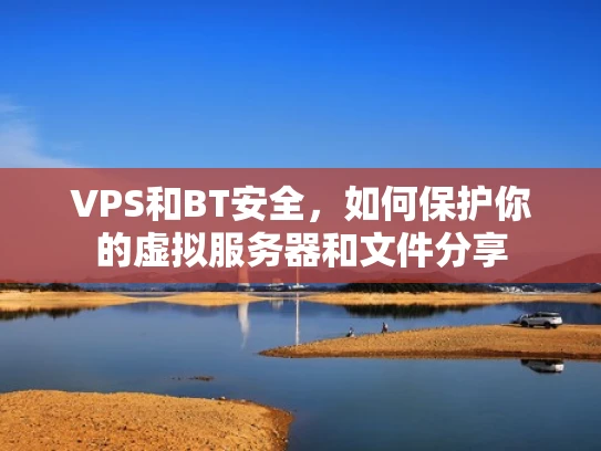 VPS和BT安全，如何保护你的虚拟服务器和文件分享