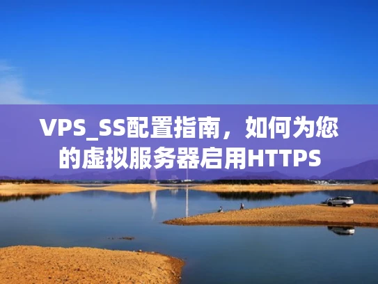 VPS_SS配置指南，如何为您的虚拟服务器启用HTTPS