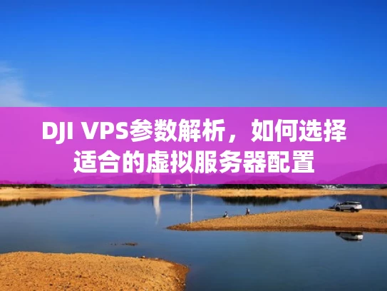 DJI VPS参数解析，如何选择适合的虚拟服务器配置