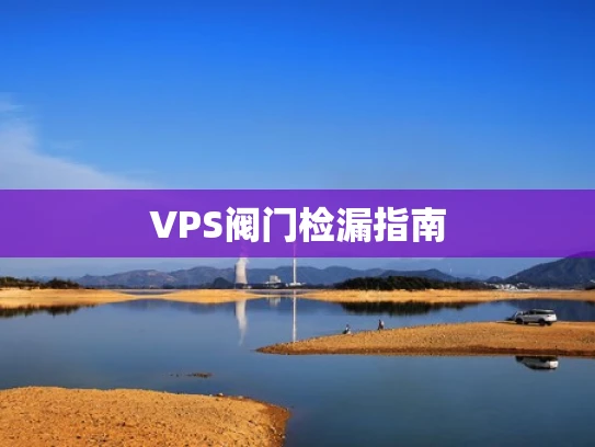 VPS阀门检漏指南