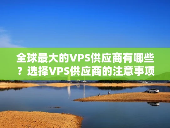 全球最大的VPS供应商有哪些？选择VPS供应商的注意事项
