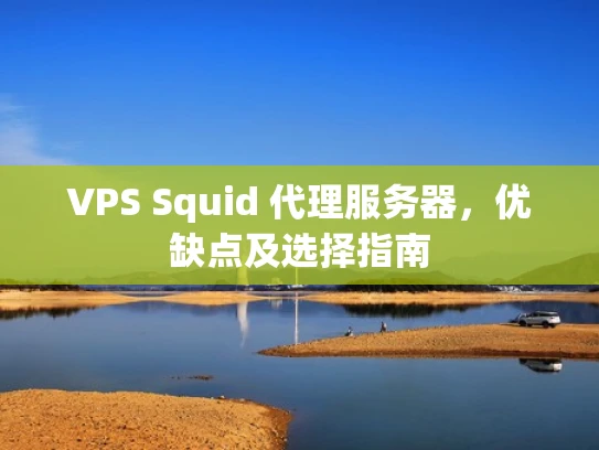 VPS Squid 代理服务器，优缺点及选择指南