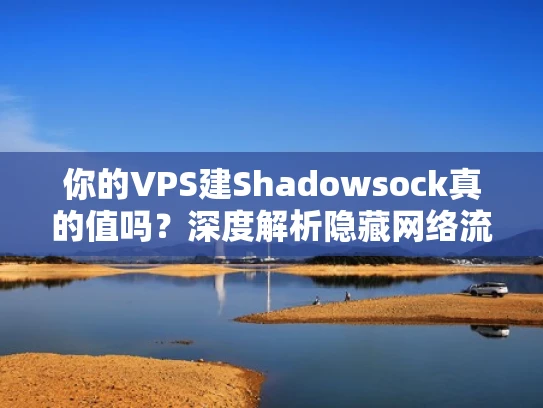 你的VPS建Shadowsock真的值吗？深度解析隐藏网络流量的真正成本
