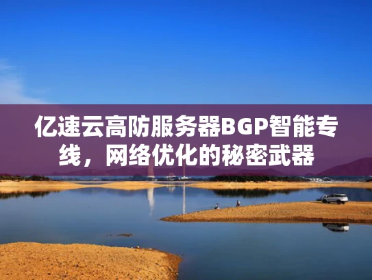 亿速云高防服务器BGP智能专线，网络优化的秘密武器