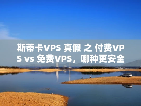 斯蒂卡VPS 真假 之 付费VPS vs 免费VPS，哪种更安全？