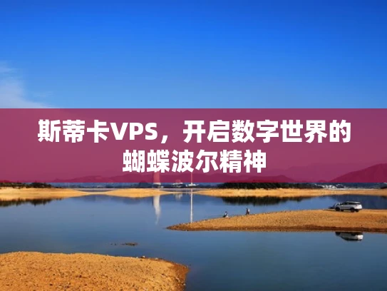 斯蒂卡VPS，开启数字世界的蝴蝶波尔精神