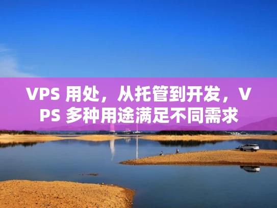 VPS 用处，从托管到开发，VPS 多种用途满足不同需求