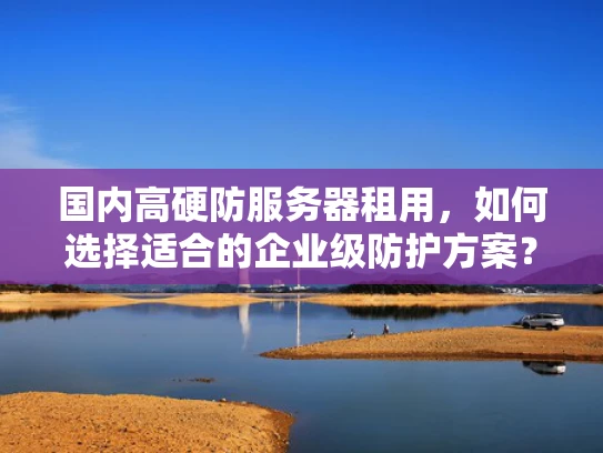 国内高硬防服务器租用，如何选择适合的企业级防护方案？
