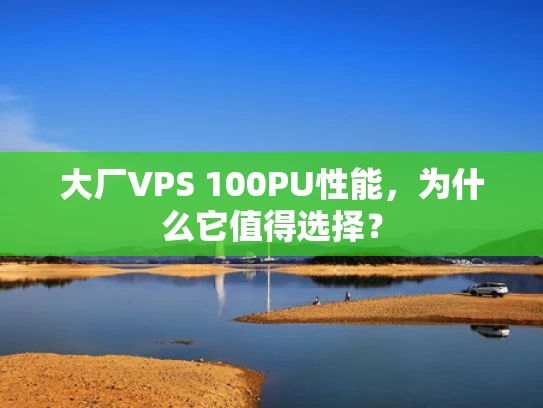 大厂VPS 100PU性能，为什么它值得选择？