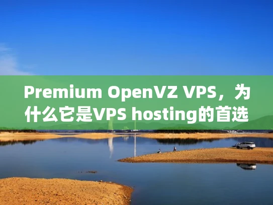 Premium OpenVZ VPS，为什么它是VPS hosting的首选？
