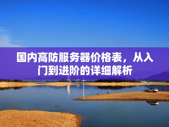 国内高防服务器价格表，从入门到进阶的详细解析
