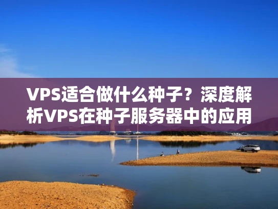 VPS适合做什么种子？深度解析VPS在种子服务器中的应用