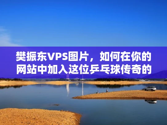 樊振东VPS图片，如何在你的网站中加入这位乒乓球传奇的风采？