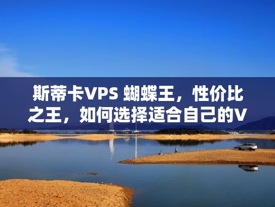 斯蒂卡VPS 蝴蝶王，性价比之王，如何选择适合自己的VPS？