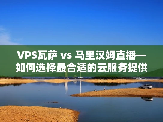 VPS瓦萨 vs 马里汉姆直播—如何选择最合适的云服务提供商？