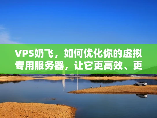 VPS奶飞，如何优化你的虚拟专用服务器，让它更高效、更稳定？