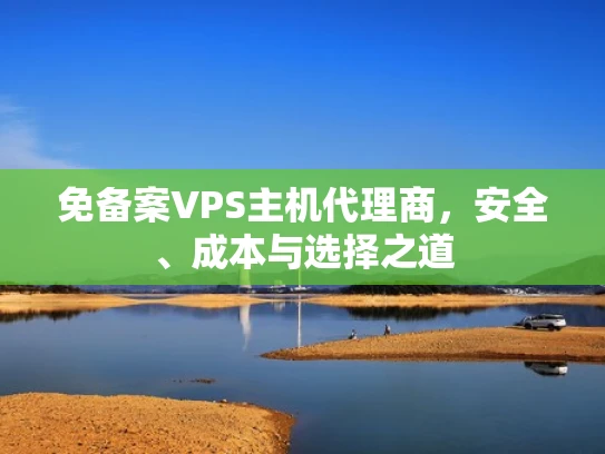 免备案VPS主机代理商，安全、成本与选择之道