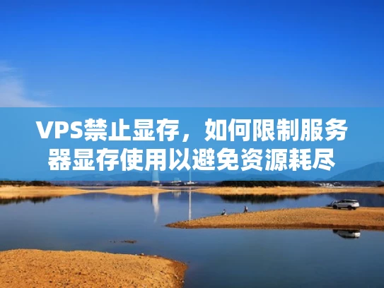 VPS禁止显存，如何限制服务器显存使用以避免资源耗尽