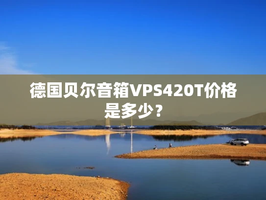 德国贝尔音箱VPS420T价格是多少？
