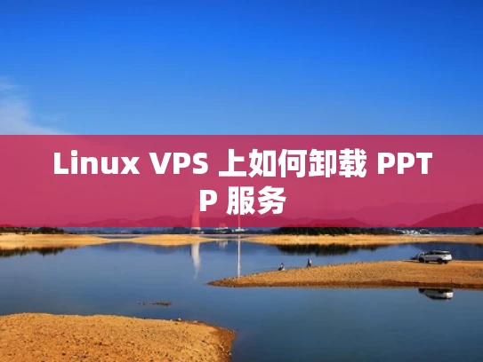 Linux VPS 上如何卸载 PPTP 服务