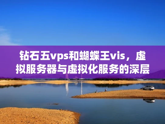钻石五vps和蝴蝶王vis，虚拟服务器与虚拟化服务的深层解析