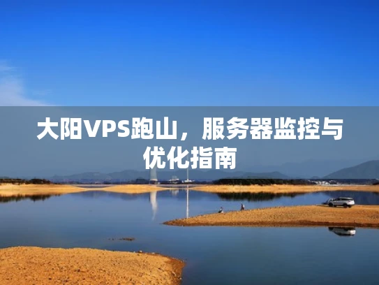 大阳VPS跑山，服务器监控与优化指南