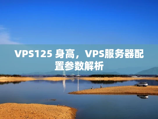 VPS125 身高，VPS服务器配置参数解析