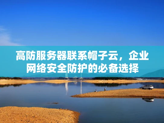 高防服务器联系帽子云，企业网络安全防护的必备选择