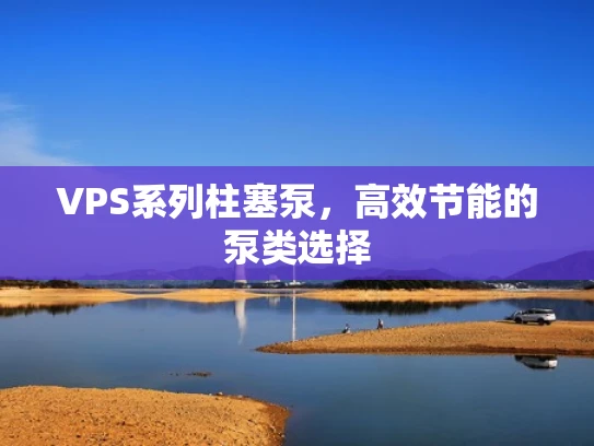 VPS系列柱塞泵，高效节能的泵类选择