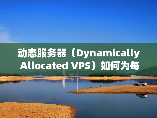 动态服务器（Dynamically Allocated VPS）如何为每个用户动态分配服务器资源？