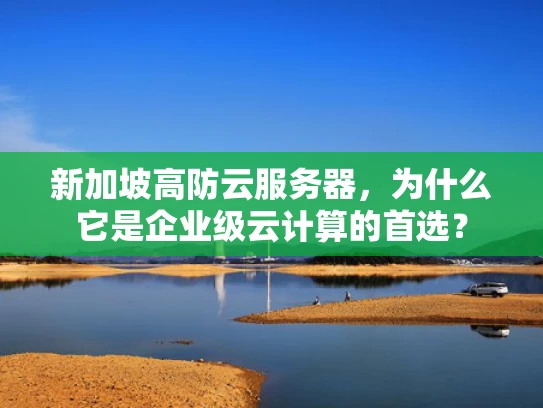 新加坡高防云服务器，为什么它是企业级云计算的首选？