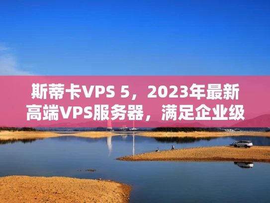 斯蒂卡VPS 5，2023年最新高端VPS服务器，满足企业级需求