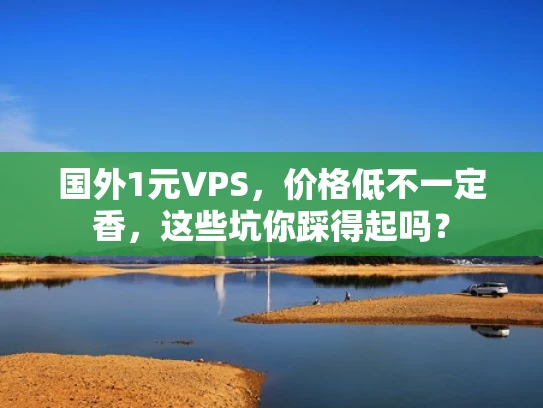 国外1元VPS，价格低不一定香，这些坑你踩得起吗？