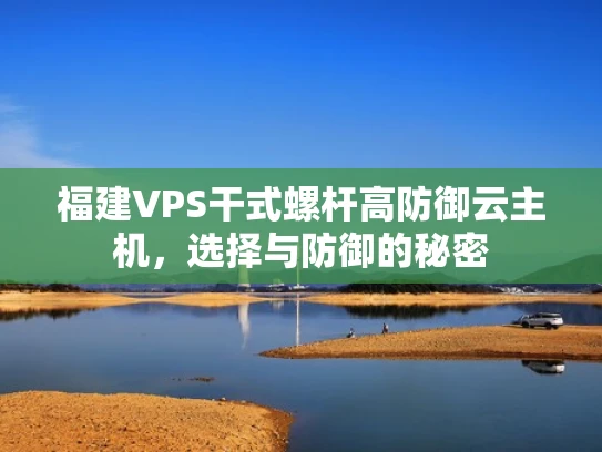 福建VPS干式螺杆高防御云主机，选择与防御的秘密