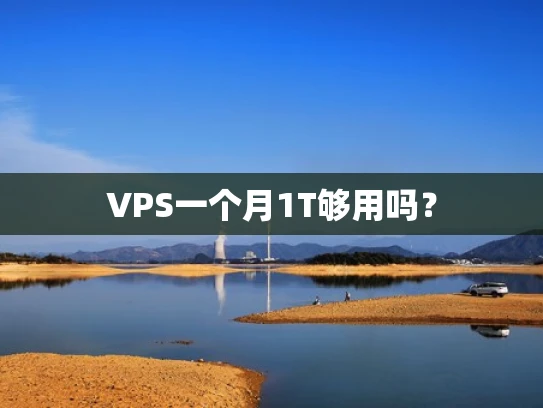 VPS一个月1T够用吗？