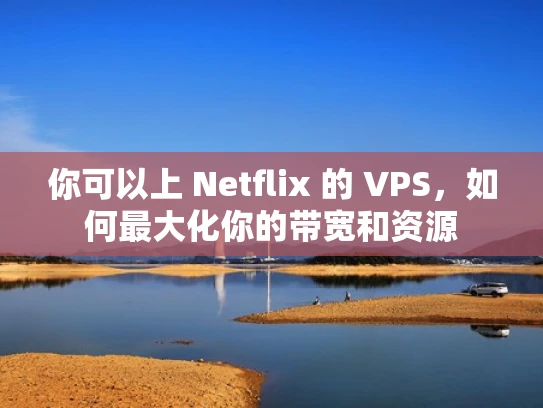 你可以上 Netflix 的 VPS，如何最大化你的带宽和资源