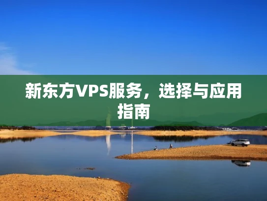 新东方VPS服务，选择与应用指南