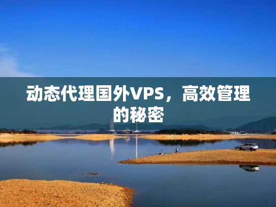 动态代理国外VPS，高效管理的秘密