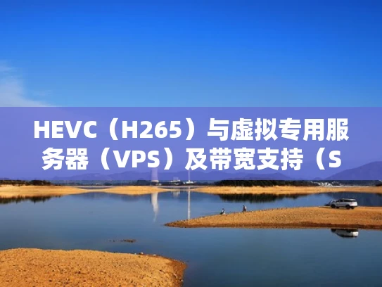 HEVC（H265）与虚拟专用服务器（VPS）及带宽支持（SPL/Bandwidth PPS）解析