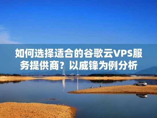 如何选择适合的谷歌云VPS服务提供商？以威锋为例分析