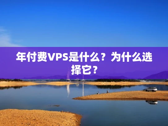 年付费VPS是什么？为什么选择它？