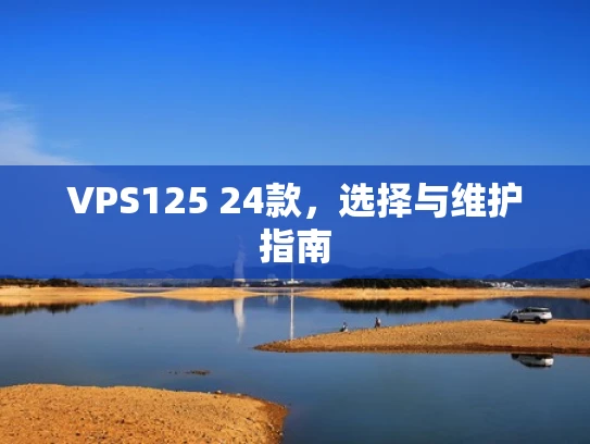 VPS125 24款，选择与维护指南
