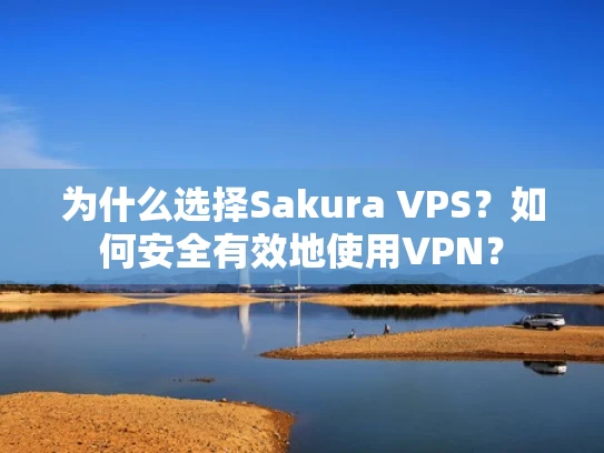 为什么选择Sakura VPS？如何安全有效地使用VPN？